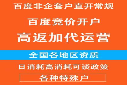SEM公司案例分析：搜索引擎优化策略与执行
